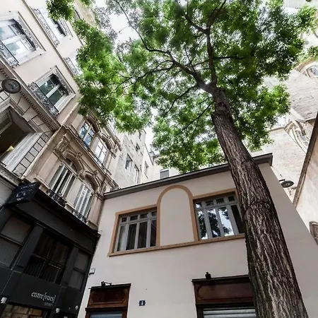 Allinlyon | Duplex Vue St-nizier *