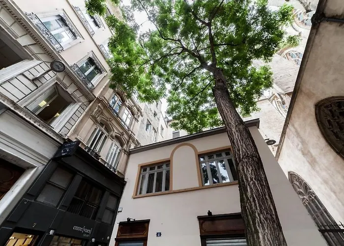 In | Duplex Vue St-nizier *